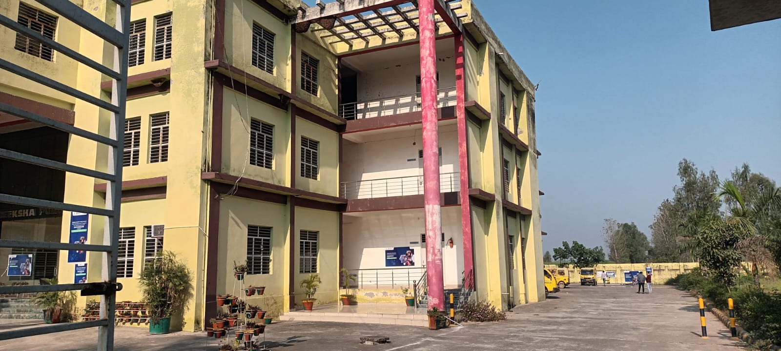 Expert Guidance & Mentorship